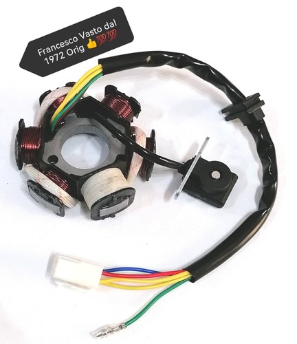 Statore magneto - statore,